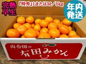 年内発送 完熟早生 有田みかん 特秀 L または M サイズ 5kg 和歌山 南泰園