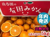 年内発送 ちょっと 傷あり 完熟早生 有田みかん S または SS 5kg 和歌山 南泰園