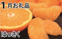 【全6か月定期便】 旬の柑橘類コース
