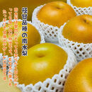 有田の 樹上 成熟 梨 農家直送  南水 梨 約4.5kg［2026年・先行予約］