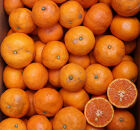 農家直送！なつみオレンジ&nbsp;10kg&nbsp;訳あり≪サイズ混合≫【平武農園】～蛍飛ぶ町から旬の便り～