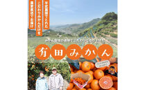 農家直送！きよみオレンジ&nbsp;5kg&nbsp;訳あり≪サイズ混合≫［平武農園］～蛍飛ぶ町から旬の便り～［2026年3月下旬から順次発送予定］