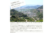 農家直送！きよみオレンジ&nbsp;3kg&nbsp;訳あり≪サイズ混合≫［平武農園］～蛍飛ぶ町から旬の便り～［2026年3月下旬から順次発送予定］