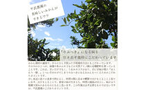農家直送！きよみオレンジ&nbsp;3kg&nbsp;訳あり≪サイズ混合≫［平武農園］～蛍飛ぶ町から旬の便り～［2026年3月下旬から順次発送予定］