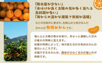 産地直送 贈答用 有田みかん Mサイズ 約10kg 喜楽farms 【2025年11月以降順次発送】