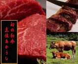 土佐あかうし　ロース（焼肉用）約500g | 吉岡精肉店　幻の和牛