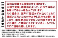 【2025年発送分】希少な国産松茸「高野松茸」200g　香り・歯応え・味ともに最高級！【化粧箱入】