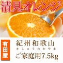 【ご家庭用訳アリ】紀州有田産清見オレンジ　7.5kg