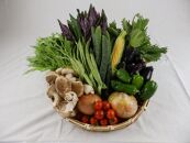 【数量限定】JA金沢市 季節の加賀野菜・金沢地物野菜セット
