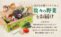 【数量限定】JA金沢市 季節の加賀野菜・金沢地物野菜セット  石川 金沢 加賀百万石 加賀 百万石 北陸 北陸復興 北陸支援