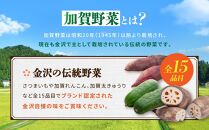 【数量限定】JA金沢市 季節の加賀野菜・金沢地物野菜セット  石川 金沢 加賀百万石 加賀 百万石 北陸 北陸復興 北陸支援