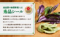 【数量限定】JA金沢市 季節の加賀野菜・金沢地物野菜セット  石川 金沢 加賀百万石 加賀 百万石 北陸 北陸復興 北陸支援