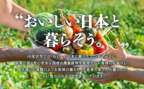 【数量限定】JA金沢市 季節の加賀野菜・金沢地物野菜セット  石川 金沢 加賀百万石 加賀 百万石 北陸 北陸復興 北陸支援