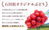 【数量限定】先行予約 JA金沢市 ルビーロマン 金沢市産 ブドウ ぶどう 高級ブドウ 高級ぶどう 高級葡萄 フルーツ