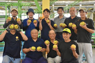 【2026年予約受付】　JA金沢市 金沢梨 5kg | 梨 豊水 幸水 南水 なし フルーツ 果物  旬 国産 和梨 甘い シャキシャキ 秋の味覚 新鮮 贈り物 地域特産 高品質 ジューシー 人気 おすすめ 送料無料 石川 金沢 加賀百万石 加賀 百万石 北陸 北陸復興 北陸支援