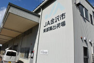 【2026年予約受付】　JA金沢市 金沢梨 5kg | 梨 豊水 幸水 南水 なし フルーツ 果物  旬 国産 和梨 甘い シャキシャキ 秋の味覚 新鮮 贈り物 地域特産 高品質 ジューシー 人気 おすすめ 送料無料 石川 金沢 加賀百万石 加賀 百万石 北陸 北陸復興 北陸支援