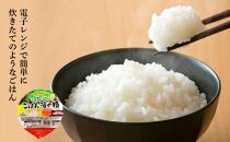 【数量限定】JA金沢市 ほがらかごはん（レトルトご飯）・レトルト赤飯セット