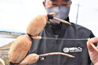 JA金沢市 加賀野菜 加賀れんこん3kg れんこん レンコン 蓮根 野菜 根菜 食物繊維  石川 金沢 加賀百万石 加賀 百万石 北陸 北陸復興 北陸支援