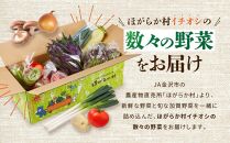 【全10回】JA金沢市 季節の加賀野菜・金沢地物野菜セット頒布会（毎月１回）  石川 金沢 加賀百万石 加賀 百万石 北陸 北陸復興 北陸支援