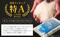 ゆめぴりか おぼろづき 計 10kg （各5kg） 雪蔵工房 2種セット  【令和6年産】| 米 10kg 米ゆめぴりか 米おぼろづき