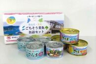 三陸の海からの贈り物 気仙沼・登米 ごちそう青魚缶詰セット