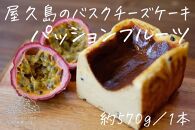 屋久島の手作りバスクチーズケーキ （パッションフルーツ）