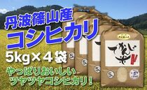 お米のおいしさ伝えたい！丹波篠山産コシヒカリ5kg×4