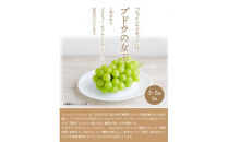 【先行予約】【令和8年発送】おおいたの豊潤シャインマスカット&nbsp;約2kg_1615Ｒ