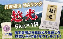 丹波篠山産　特Aランク　越　光　（５kｇ×１袋）