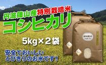 お米のおいしさ伝えたい！特別栽培米コシヒカリ5kg×2