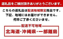 こだわりの 青切りみかん　約5kg【2024年9月下旬より順次発送】