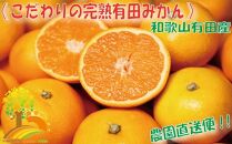 ＼農家直送／こだわりの有田みかん 約4kg【2024年11月より順次発送】