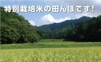 丹波篠山産　特Aランク　特別栽培米　越光（５ｋｇ×４袋）