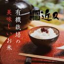 【有機栽培米】 丹波篠山産コシヒカリ 2kg 3袋