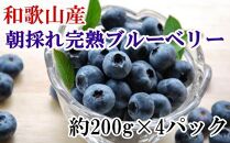和歌山の朝採れ完熟ブルーベリー約800g(約200g×4パック)