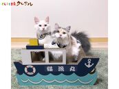 猫の爪とぎ　漁船