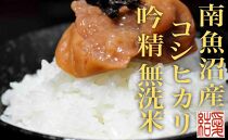 【令和7年産】【定期便6Kg×全9回【無洗米】&nbsp;南魚沼産コシヒカリ