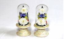 本物のキクの花を加工したボトルフラワー【お悔やみの贈り物ギフトに・ご自宅用に】