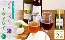 八女立花ワインセットＣ【ブルーベリー・キウイを完熟果汁で醸造した自信作】