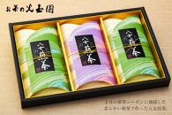 【お茶の光玉園】八女茶ギフト 70g×3本セット