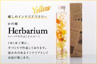 かの蜂 ハーバリウム（イエロー）大流行の癒しのインテリアフラワー