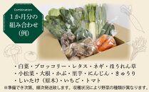 【３か月定期便】東京唯一の道の駅・八王子滝山から、新鮮野菜＆フルーツのセットをお届け