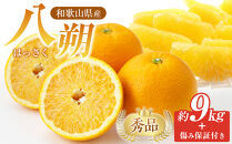 和歌山県産&nbsp;八朔&nbsp;秀品&nbsp;箱込約10kg（約9kg＋保証分500g）