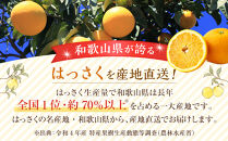 和歌山県産&nbsp;八朔&nbsp;秀品&nbsp;箱込約10kg（約9kg＋保証分500g）