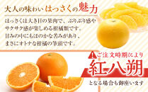 和歌山県産&nbsp;八朔&nbsp;秀品&nbsp;箱込約10kg（約9kg＋保証分500g）