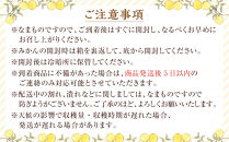 和歌山県産&nbsp;八朔&nbsp;秀品&nbsp;箱込約10kg（約9kg＋保証分500g）