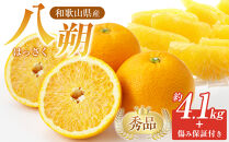 和歌山県産&nbsp;八朔&nbsp;秀品&nbsp;箱込約5kg（約4.1kg＋保証分500g）