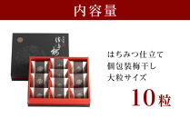 大粒の紀州南高梅&nbsp;人気のはちみつ仕立て「極」10包　［SB1］