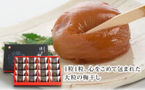 大粒の紀州南高梅&nbsp;人気のはちみつ仕立て「極」16包　［SB2］