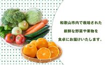旬をお届け！和歌山市産・野菜または果物の詰め合わせ